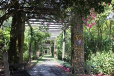 Fairchild Tropical Garden....