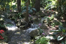 Habitat natural das orquídeas do Fairchild Tropical Garden....