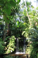 Cachoeira...Fairchild Tropical Garden....