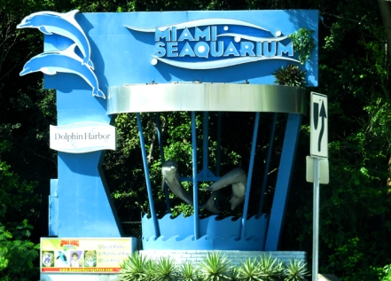 Seaquarium - Um sonho de criança se tornando realidade!